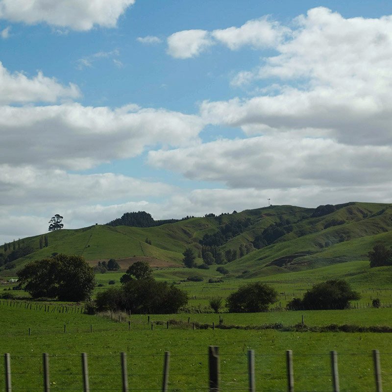 Waikato countryside